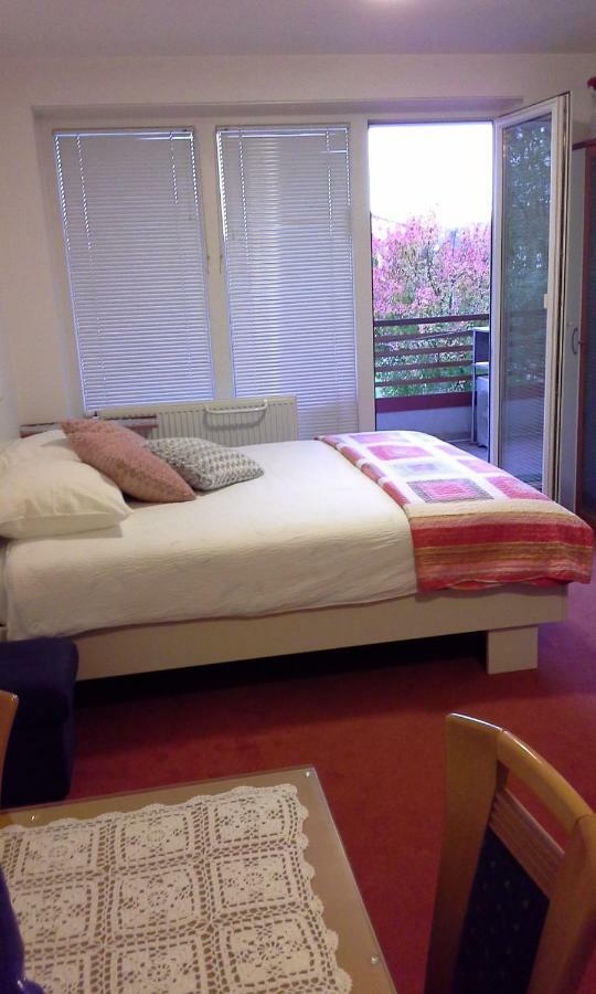 Apartment Maja Moravske Toplice Luaran gambar